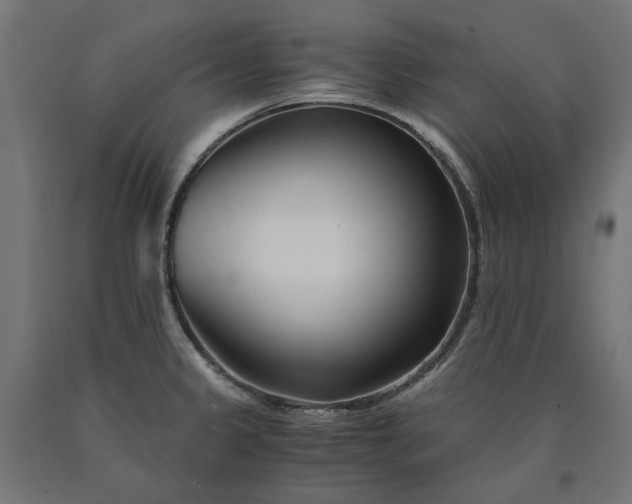 X0000090721333200708031452
