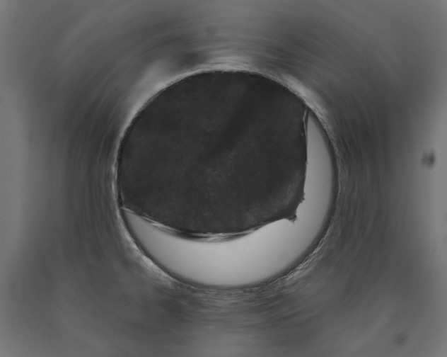 X0000090721334200708031452