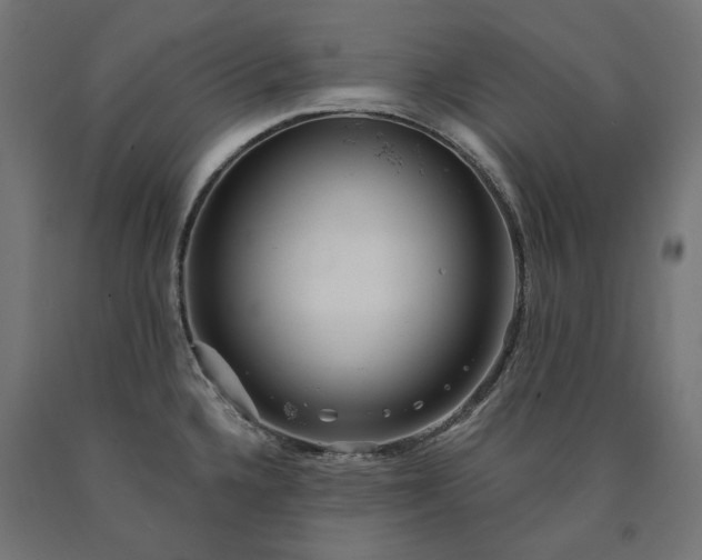 X0000090721336200708031452