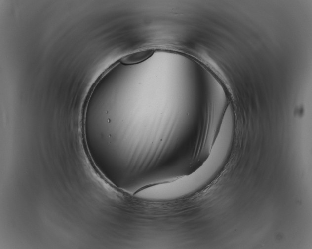 X0000090721339200708031452