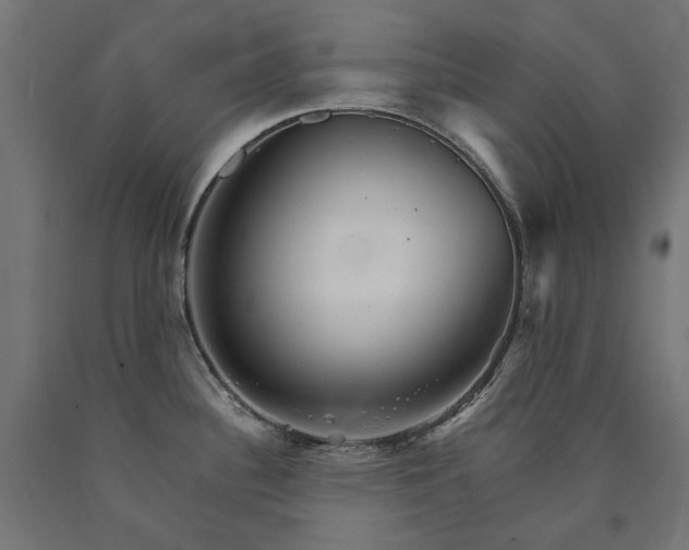 X0000090721340200708031452