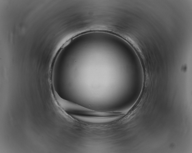 X0000090721342200708031452