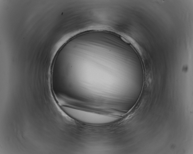 X0000090721343200708031452
