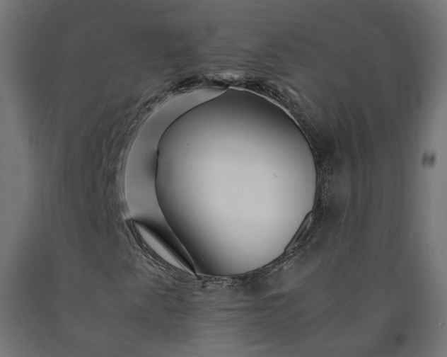 X0000090721345200708031451