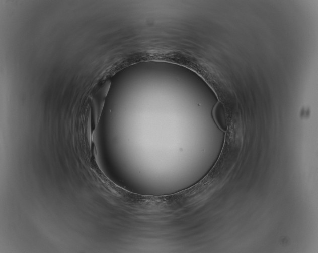 X0000090721346200708031451