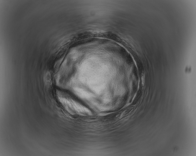 X0000090721347200708031451