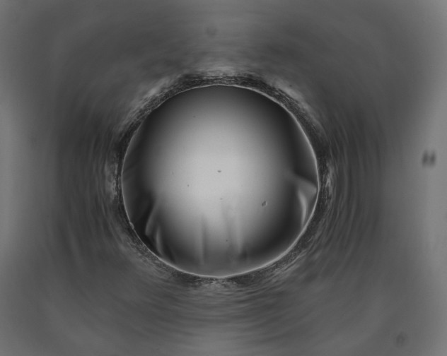 X0000090721348200708031451