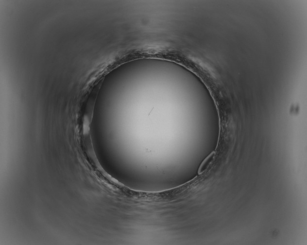 X0000090721349200708031451