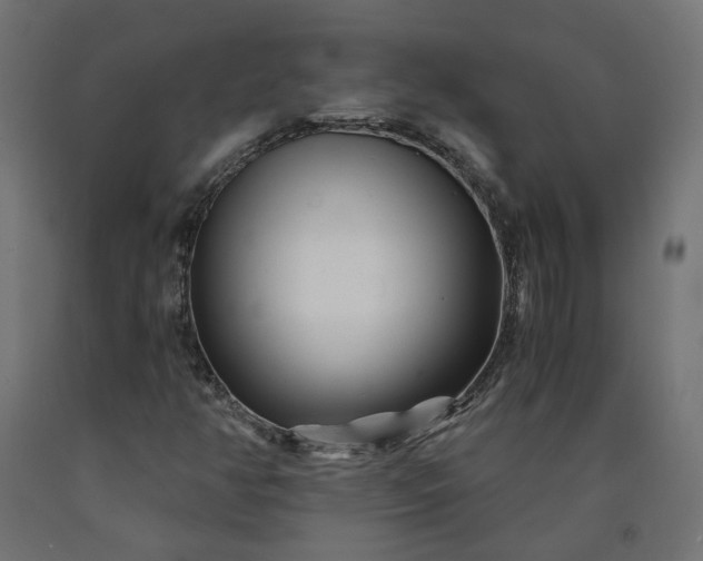 X0000090721350200708031451