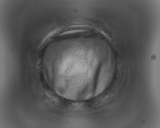 X0000090721351200708031451