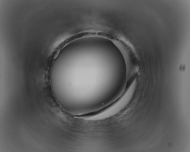 X0000090721352200708031451