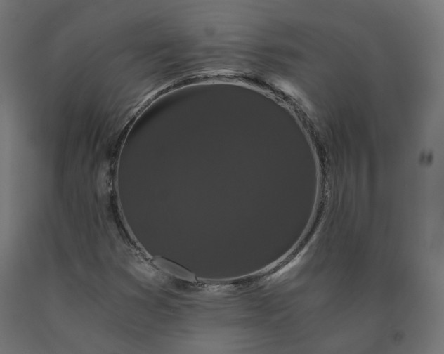 X0000090721353200708031451