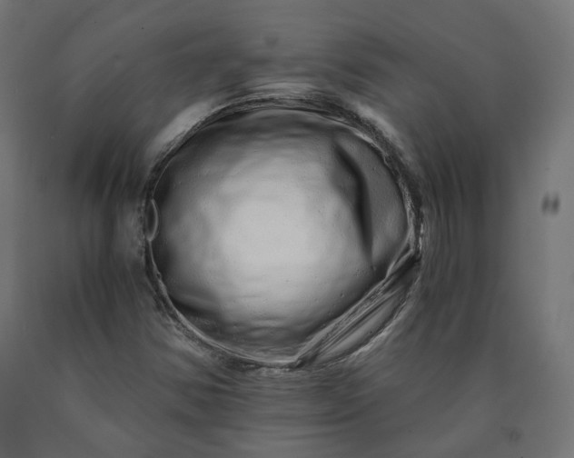 X0000090721354200708031451