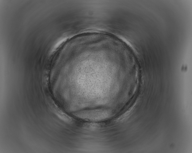 X0000090721355200708031451