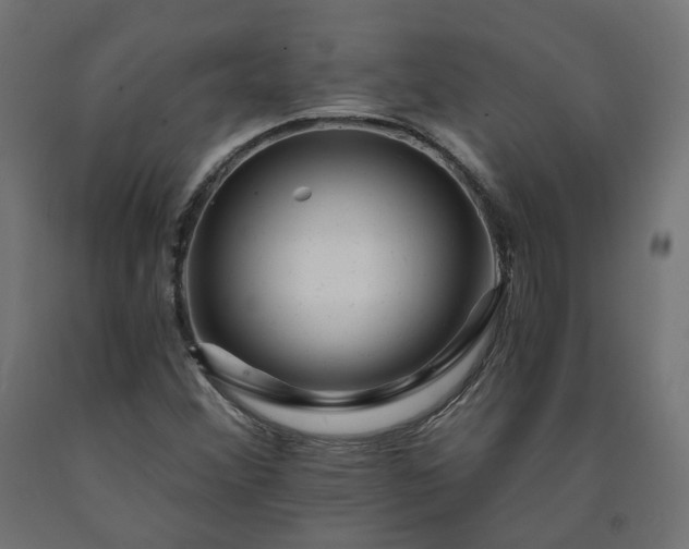 X0000090721356200708031451