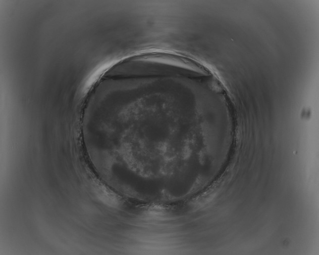 X0000090721359200708031451