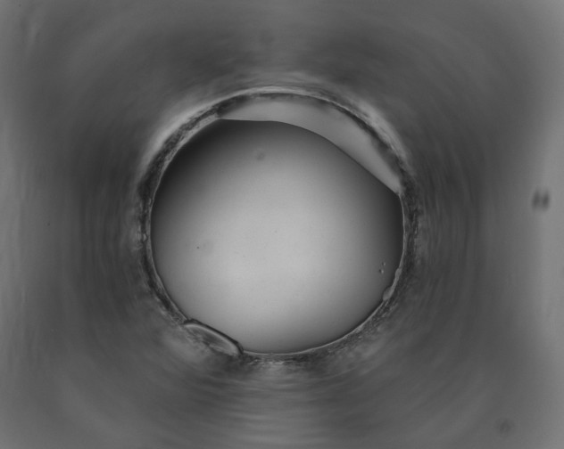 X0000090721360200708031451