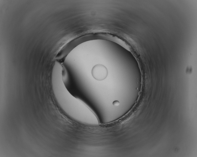 X0000090721361200708031451