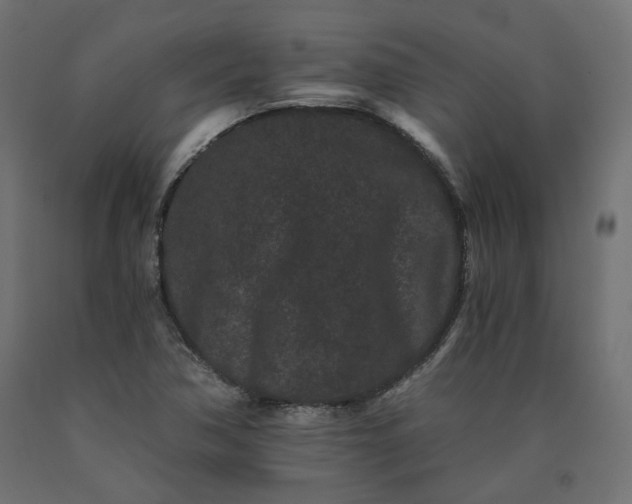 X0000090721362200708031451