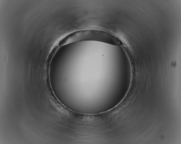 X0000090721364200708031451