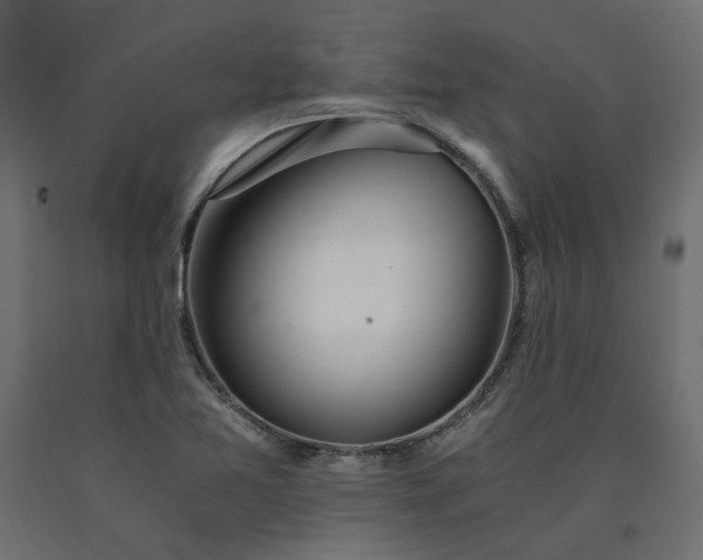 X0000090721365200708031451