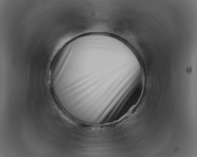 X0000090721366200708031451