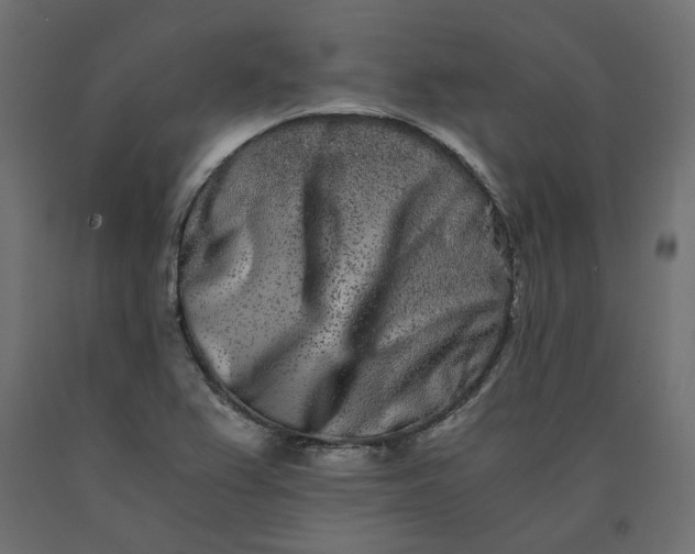 X0000090721367200708031451