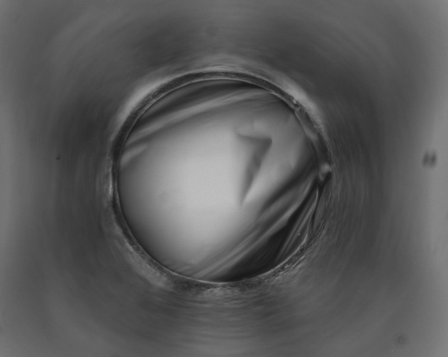X0000090721368200708031451