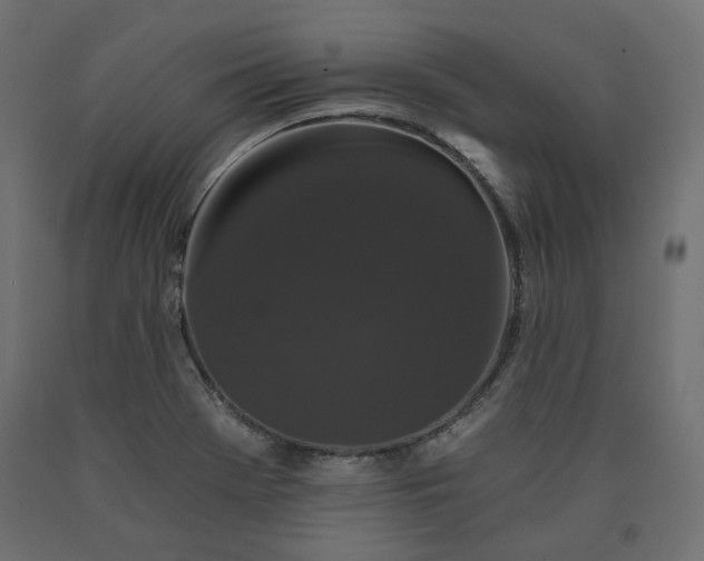 X0000090721369200708031451