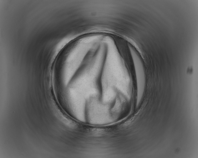 X0000090721371200708031451
