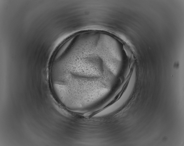 X0000090721372200708031451