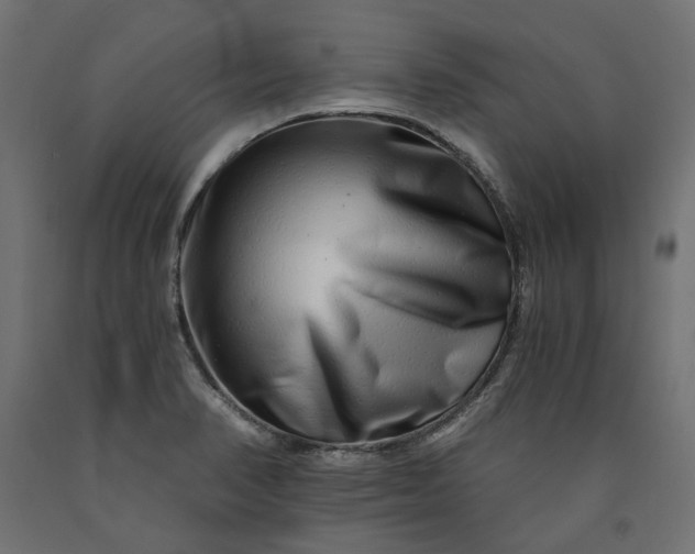 X0000090721374200708031451