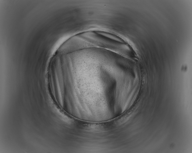 X0000090721375200708031451