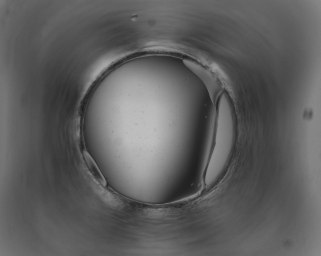 X0000090721376200708031451