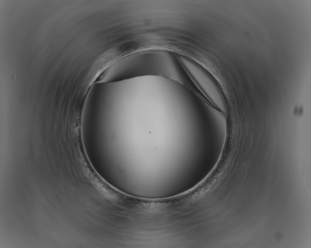X0000090721377200708031451