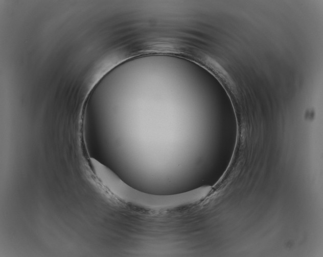 X0000090721378200708031451