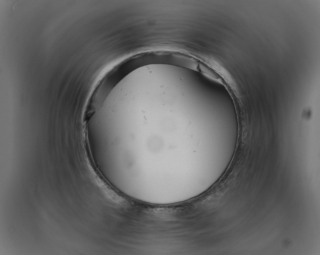 X0000090721380200708031451