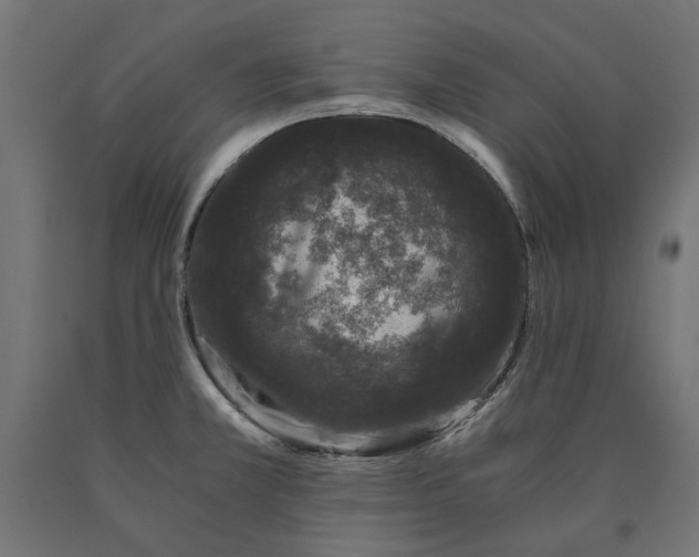 X0000090721381200708031451