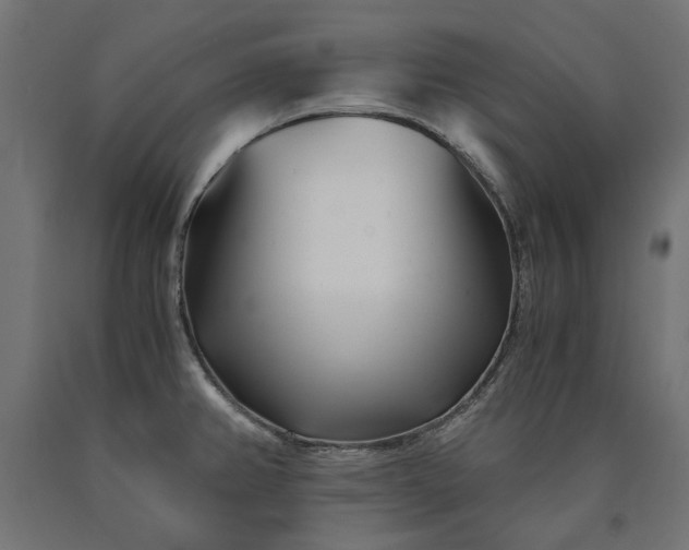 X0000090721382200708031451