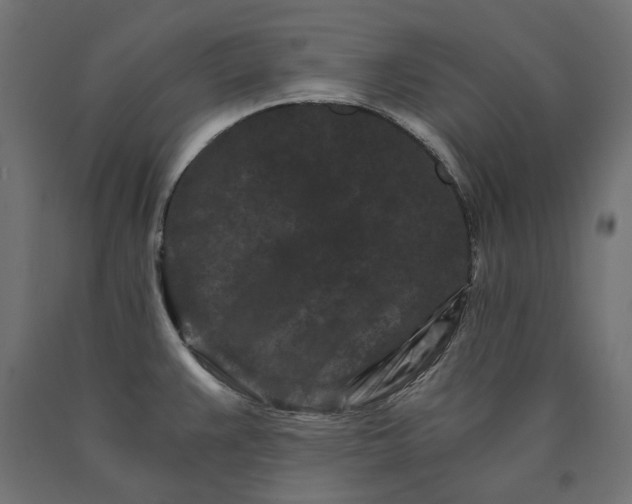 X0000090721383200708031451