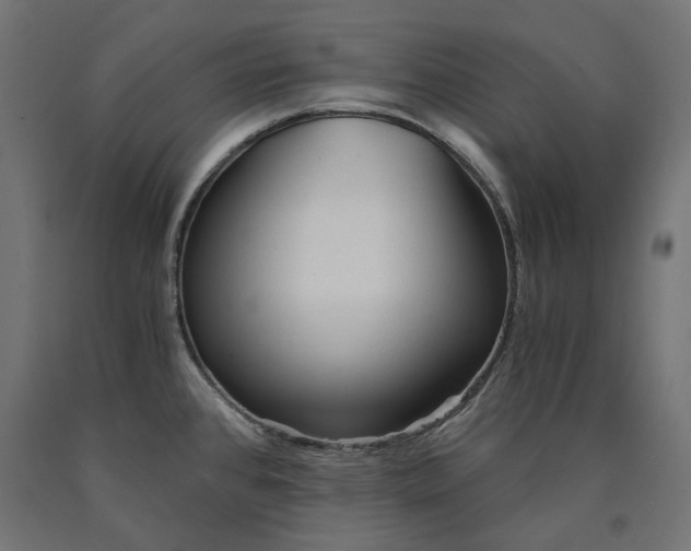 X0000090721384200708031451