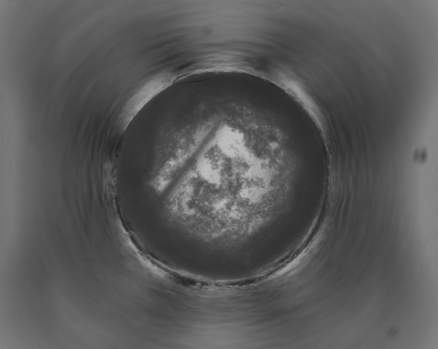 X0000090721385200708031451