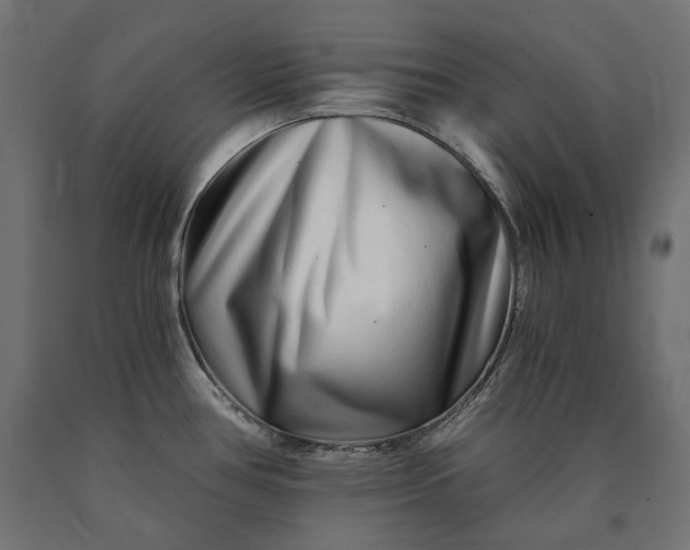 X0000090721386200708031451