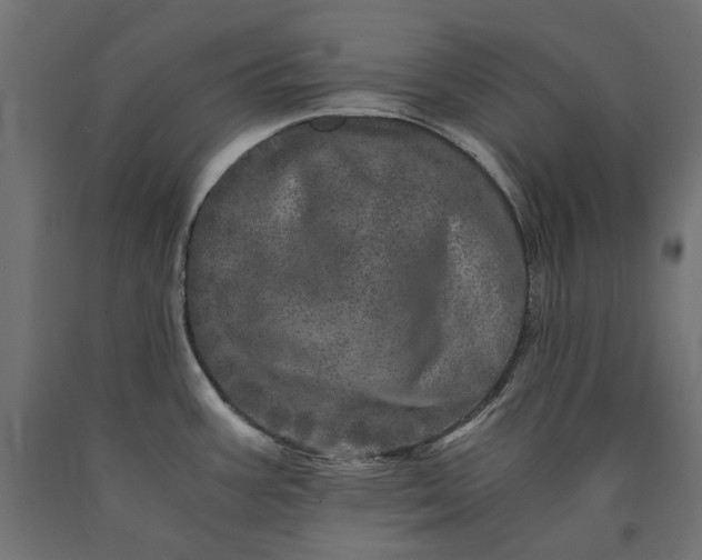 X0000090721387200708031451