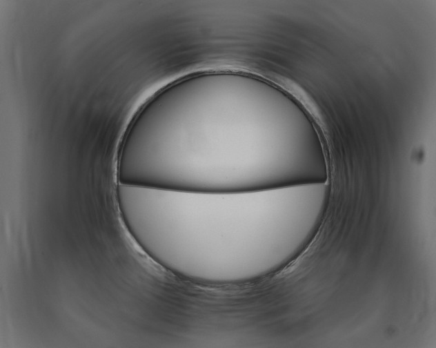 X0000090721388200708031451