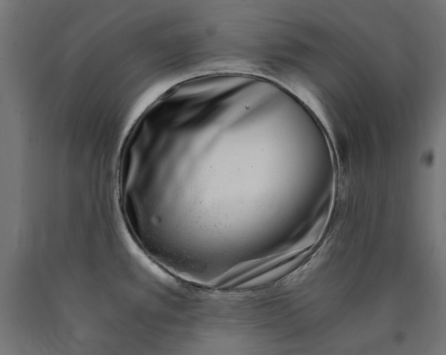 X0000090721389200708031451