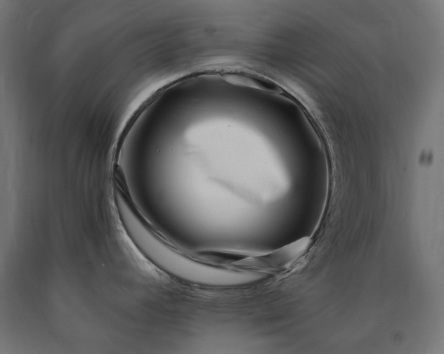 X0000090721392200708031451