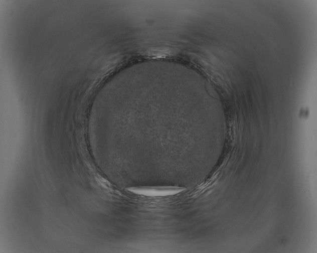 X0000090721393200708031450