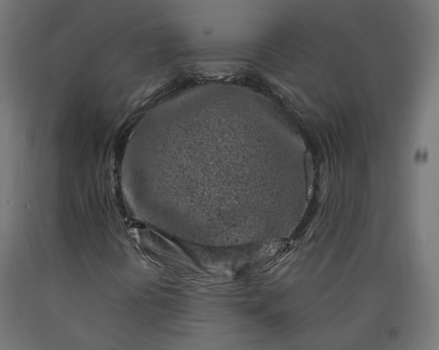 X0000090721394200708031450