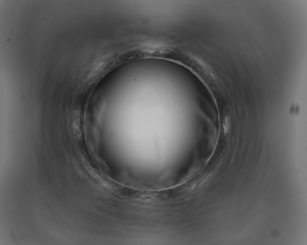 X0000090721396200708031450